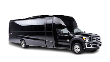 Ford F 500